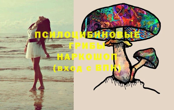 каннабис Алексеевка